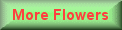 Flowers and bouquets for free delivery in Bromley, Kent