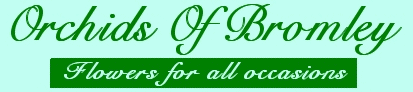 Bromley Florists delivers flowers and bouquets free within the Bromley Area