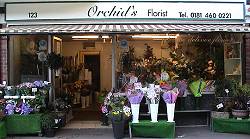 Orchids Florists of Bromley - Free delivery within the Bromley Area
